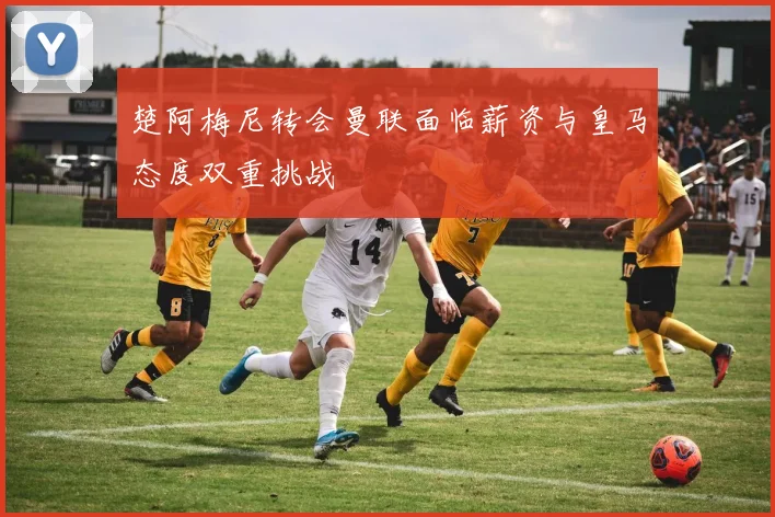 楚阿梅尼转会曼联面临薪资与皇马态度双重挑战