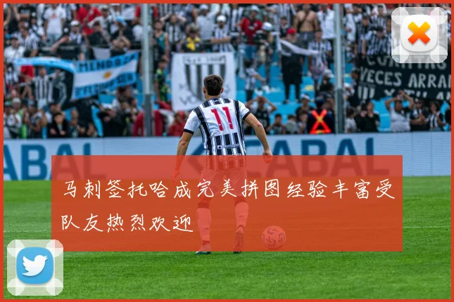 马刺签托哈成完美拼图经验丰富受队友热烈欢迎